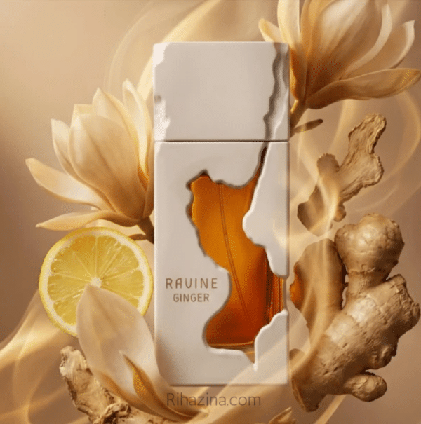 Ravine Ginger French Avenue Maroc